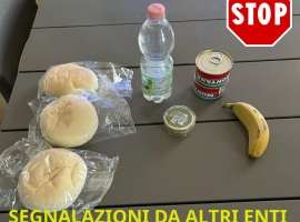 8f/87/bfa198d744d6e9d5a4a6d5f4109e.jpg